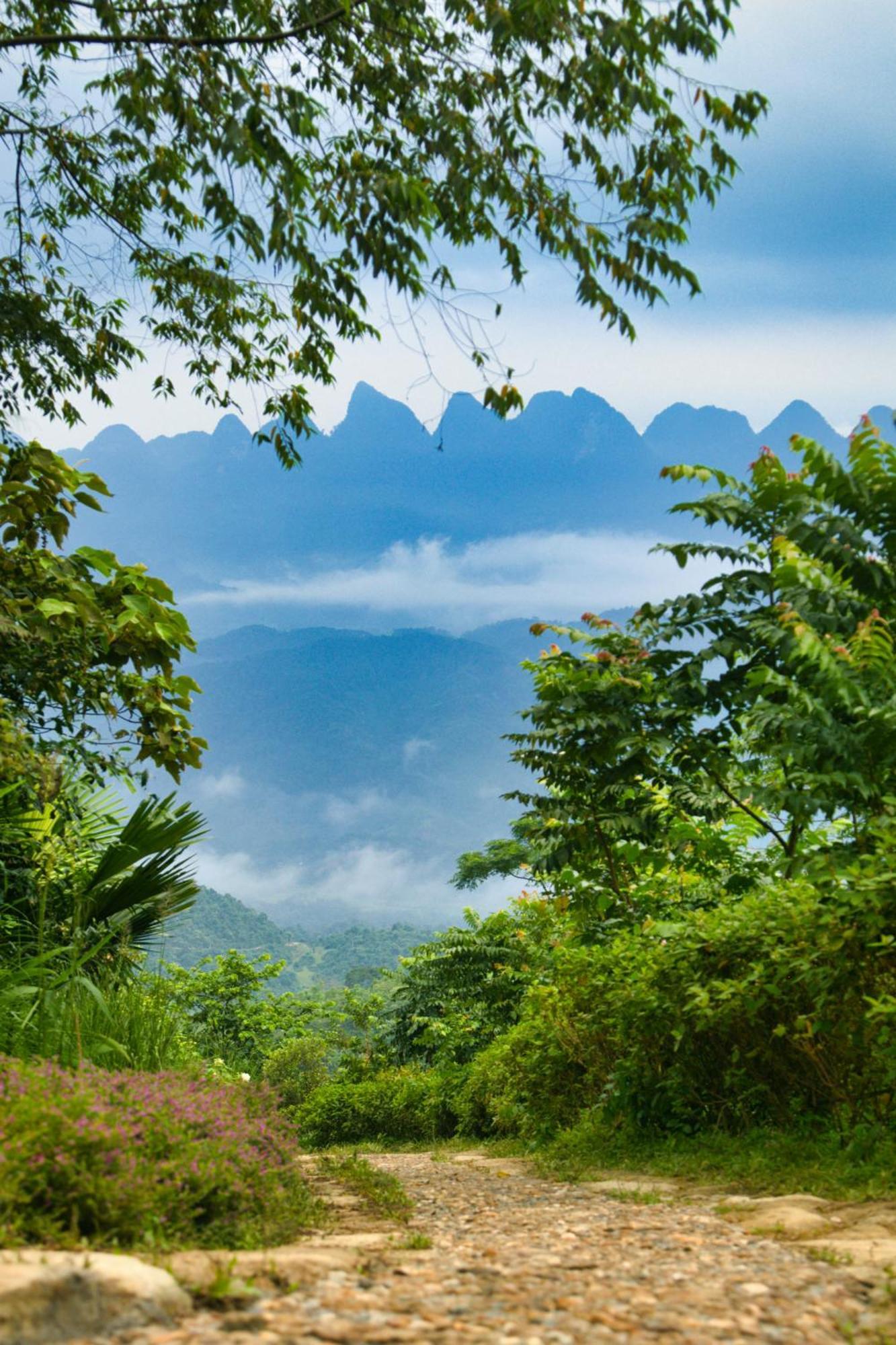 Tvpalm Ecolodge Ha Giang Exteriér fotografie
