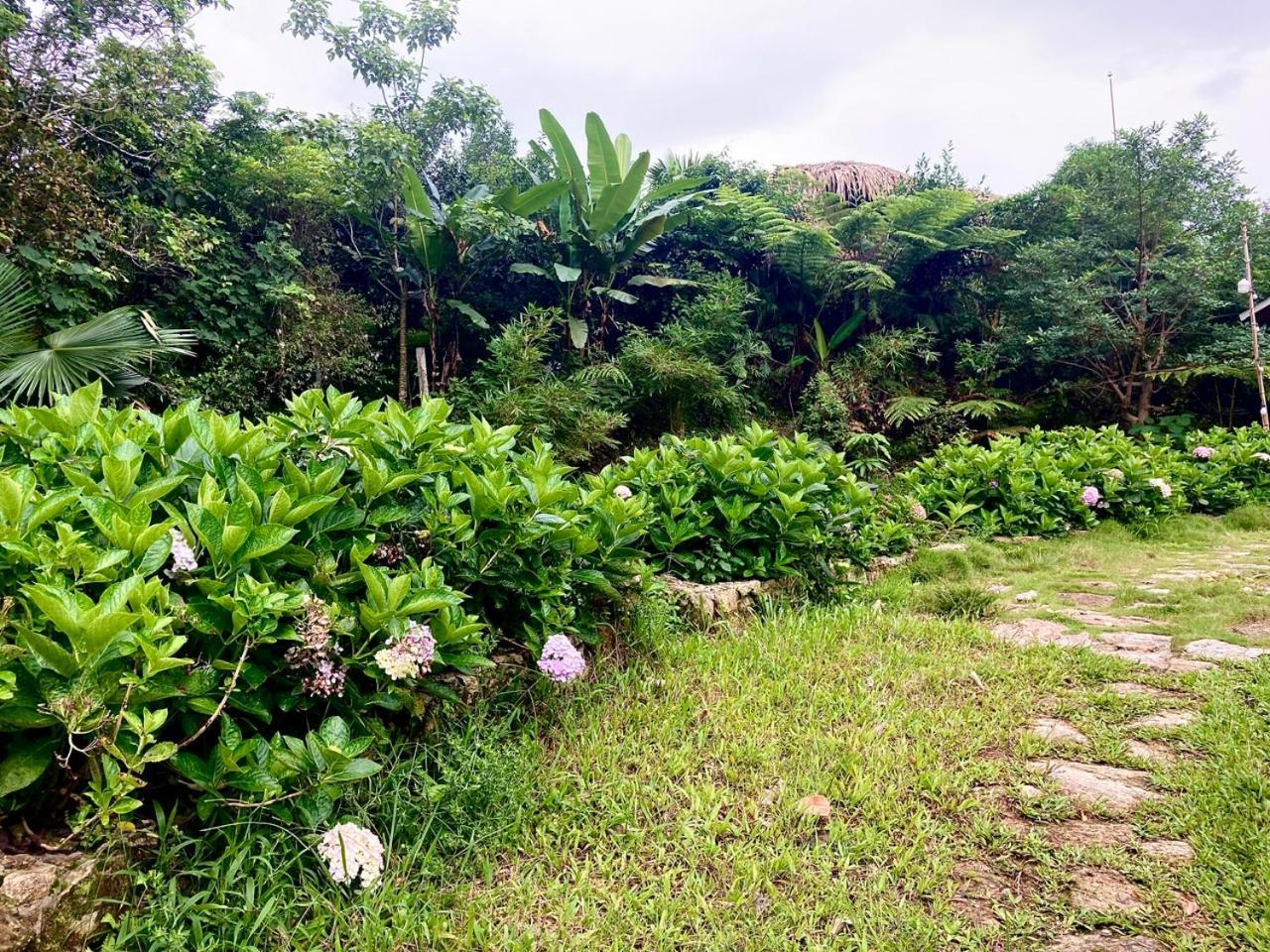 Tvpalm Ecolodge Ha Giang Exteriér fotografie