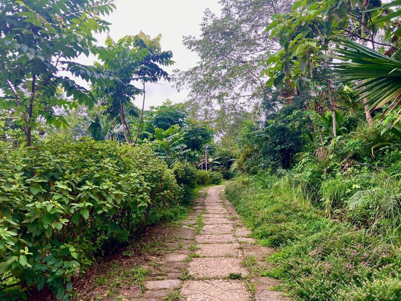 Tvpalm Ecolodge Ha Giang Exteriér fotografie